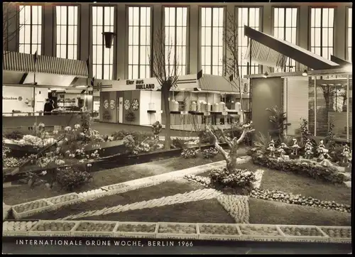 Ansichtskarte Berlin Internationale Grüne Woche: Holland 1966