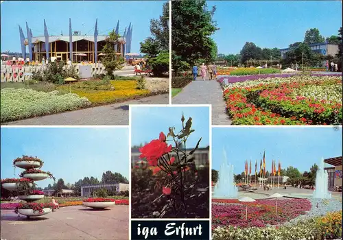 Ansichtskarte Erfurt Internationale Gartenbauausstellung der DDR (IGA) 1979