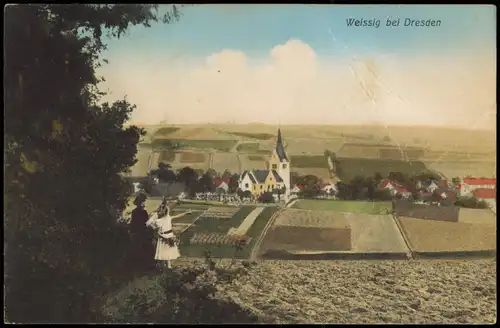 Ansichtskarte Schönfeld - Weißig-Dresden Partie an der Stadt - Felder 1911