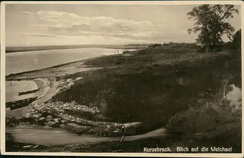 Kurzebrack b. Marienwerder Pommern Korzeniewo Blick auf die Weichsel 1932