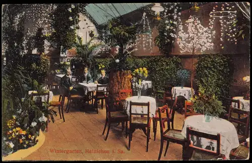 Ansichtskarte Hainichen Wintergarten Hainichen 1917  gel. Feldpoststempel