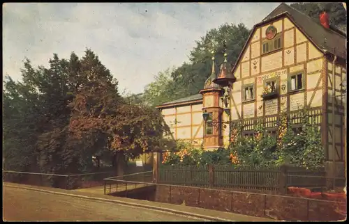 Ansichtskarte Loschwitz-Dresden Loschwitz. Rote Amsel. Naturfarben 1926