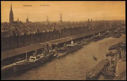 Ansichtskarte Hamburg Freihafen Panorama mit Hallen und Frachtschiffen 1920