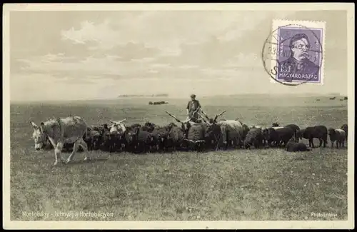 Postcard .Ungarn UNGARN, HONGRIE, HUNGARY Schäfer Hortobagy 1928