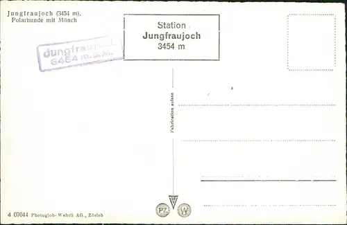 Ansichtskarte Grindelwald Jungfraujoch (3454 m). Polarhunde mit Mönch 1964