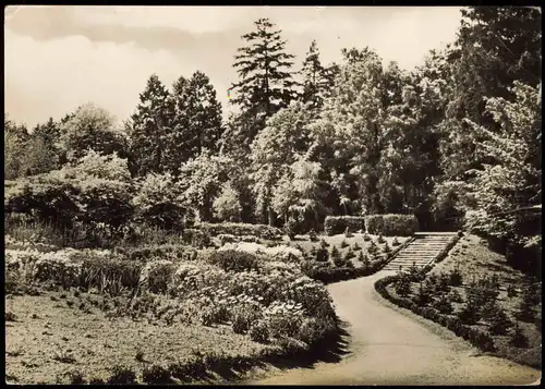 Naumburg (Saale) DDR AK Bürgergarten, Anlagen im Rosengarten 1963