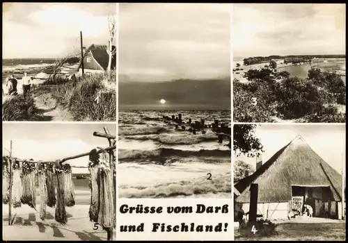 .Mecklenburg-Vorpommern Halbinsel Darß DDR Mehrbild-AK mit Ostsee Ansichten 1978