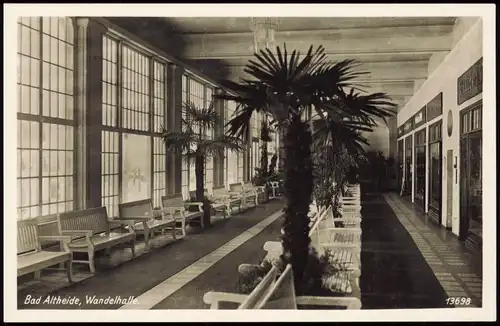 Postcard Bad Altheide Polanica-Zdrój Wandelhalle, Palmen 1932