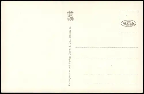 Postcard Bad Altheide Polanica-Zdrój Wandelhalle, Palmen 1932
