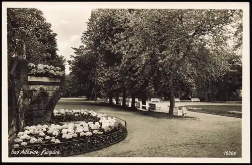 Postcard Bad Altheide Polanica-Zdrój Kurpark - Bänke u. Beete 1932
