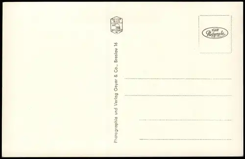 Postcard Bad Altheide Polanica-Zdrój Kurpark - Bänke u. Beete 1932