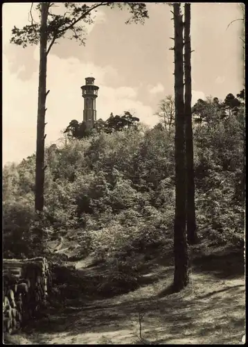 Ansichtskarte Bad Freienwalde Partie am Aussichtsturm zur DDR-Zeit 1970