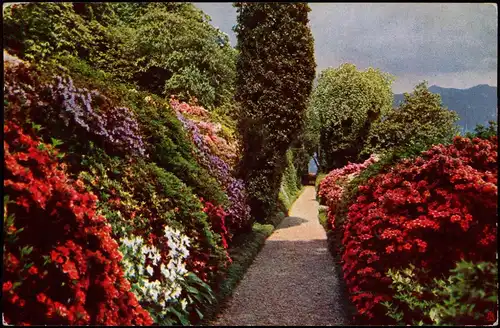 Cartoline Como VILLA CARLOTTA TREMEZZINA CADENABBIA (Lago di Como) 1915