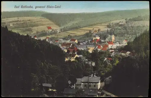 Bad Gottleuba-Berggießhübel Blick auf die Stadt und Mühle 1918