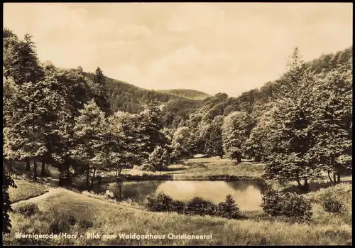 Wernigerode Umland-Ansicht Harz Blick vom Waldgasthaus Christianental 1970