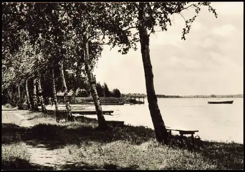 Ansichtskarte Rangsdorf Seepromenade Umland-Ansicht 1973