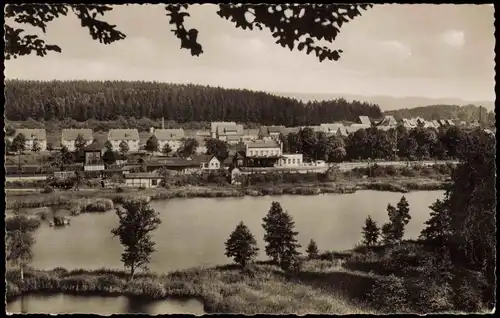 Ansichtskarte Walkenried (Harz) Panorama-Ansicht Blick vom Höllenstein 1960