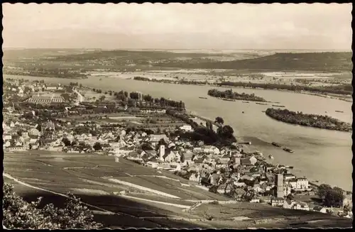 Ansichtskarte Rüdesheim (Rhein) Panorama-Ansicht Rhein Blick 1954