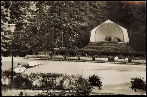 Ansichtskarte Wildemann (Innerstetal) Kurpark 1962