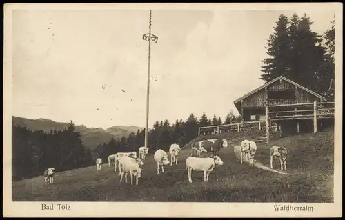 Ansichtskarte Bad Tölz Waldherralm 1931