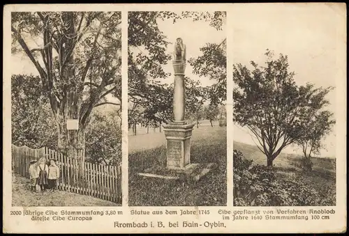 Postcard Krombach Krompach 3 Bild Eibe, Statue Böhmen 1922