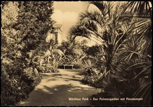 Oranienbaum Wörlitz Wörlitzer Park  Palmengarten  Floratempel 1962