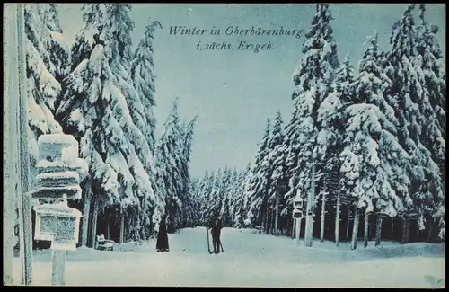 Ansichtskarte Oberbärenburg-Altenberg (Erzgebirge) Winter Skiläufer 1924