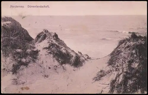 Ansichtskarte Norderney Dünenlandschaft. 1908