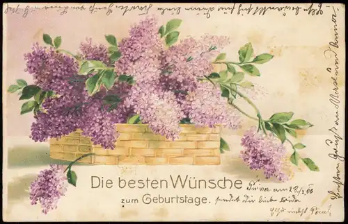 Glückwunsch Geburtstag Birthday Fliederstrauss 1906 Prägekarte