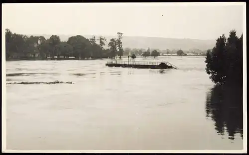 Foto Gohlis-Dresden Gohliser Windmühle - Hochwasser Foto 1954 Foto