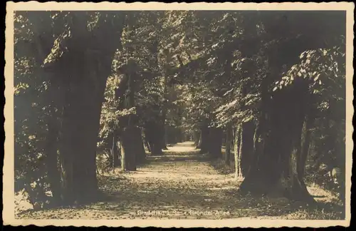 Ansichtskarte Glauchau Gründel-Allee 1932