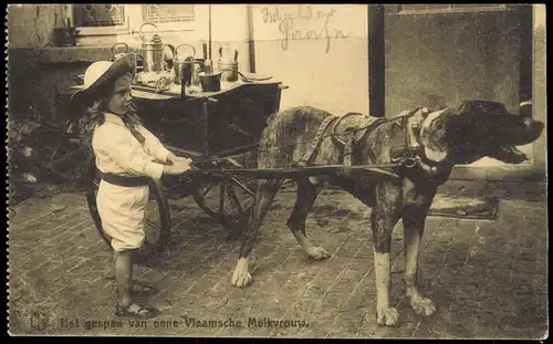 Belgien Mädchen mit Hundekarren Vlaamsche Melkyrouw 1915  gel. Feldpost