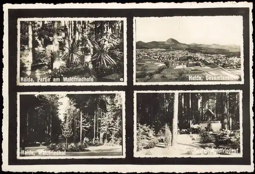 Haida Nový Bor 4 Bild Waldfriedhof 1939  Landpoststempel Salesel über Aussig