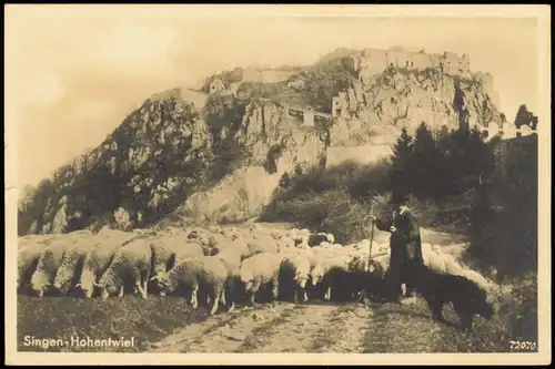 Ansichtskarte Singen (Hohentwiel) Schäfer, Schafe - Hohentwiel 1934