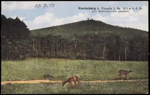Ansichtskarte Pulsnitz Połčnica Keulenberg von Gräfenhain 1919