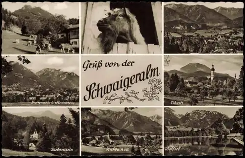 Ansichtskarte Birkenstein-Fischbachau Mehrbild Schwaigeralm 1965