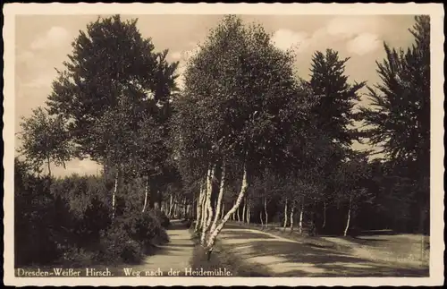 Ansichtskarte Weißer Hirsch-Dresden Weg nach der Heidemühle. 1940