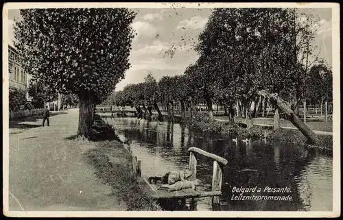 Belgard an der Persante Białogard Leitznitzpromenade. Pommern Pomorskie 1932