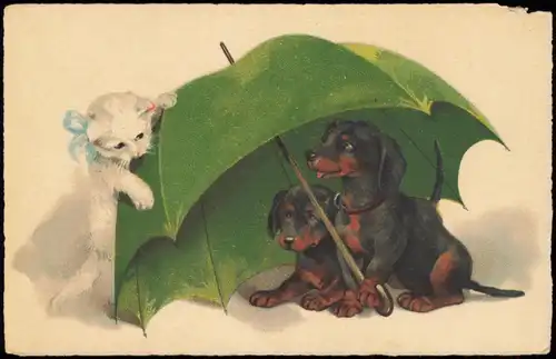 Ansichtskarte  Tiere - Hunde unter Regenschiem Kätzchen Künstlerkarte 1912