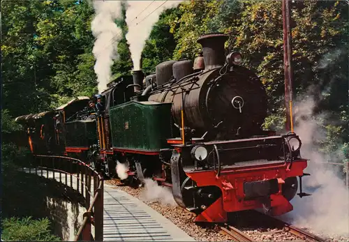 Ansichtskarte  Verkehr & Eisenbahn Dampflok der Museumbahn Blonay-Chamby 1981