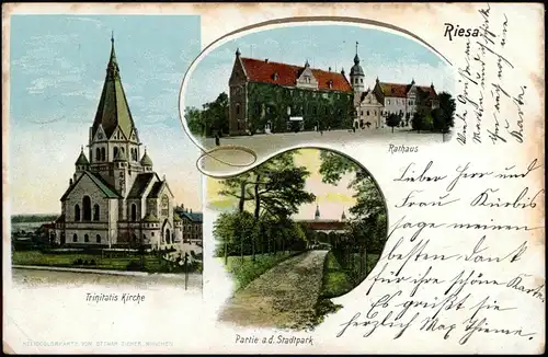 Ansichtskarte Riesa 3 Bild Rathaus, Stadtpark, Kirche 1905