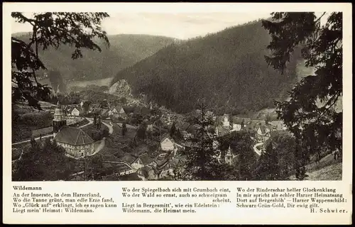 Ansichtskarte Wildemann (Innerstetal) Panorama-Ansicht 1953