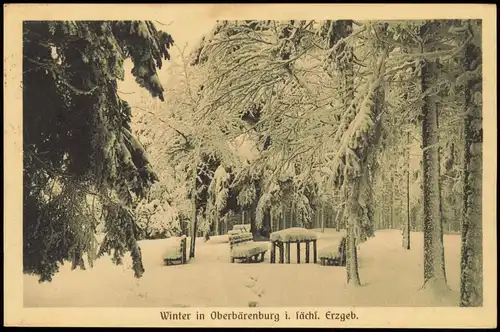Oberbärenburg-Altenberg (Erzgebirge) Winterlandschaft, Rastplatz im Wald 1926