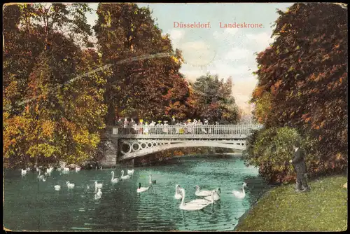 Ansichtskarte Düsseldorf Landeskrone Partie, Schwäne vor einer Brücke 1910