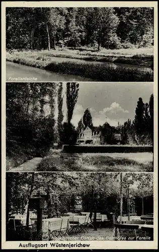 Ansichtskarte Wüstenjerichow-Möckern Forellenteich, Gasthof, Schloß 1938