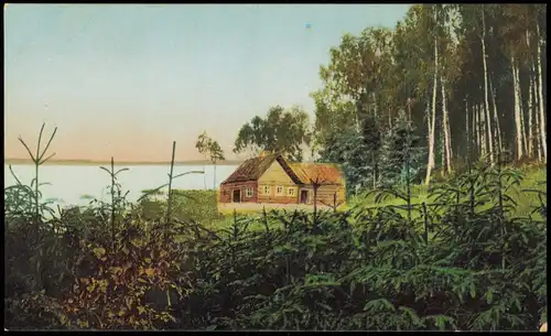 Rußland Россия Hameau  Ancien Senèje Station Поселокь, Старый Сенежь 1913