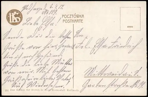 Postcard .Russland Rußland Россия Melken in einer Kuranstalt 1913