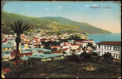 Postcard Funchal Partie an der Stadt - Madeira 1909