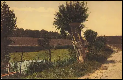 Ansichtskarte  Stimmungsbild: Weg am Feld und Waldesrand 1912