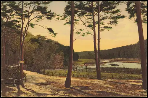 Ansichtskarte  Stimmungsbild: Ort Waldweg am Fluss 1912